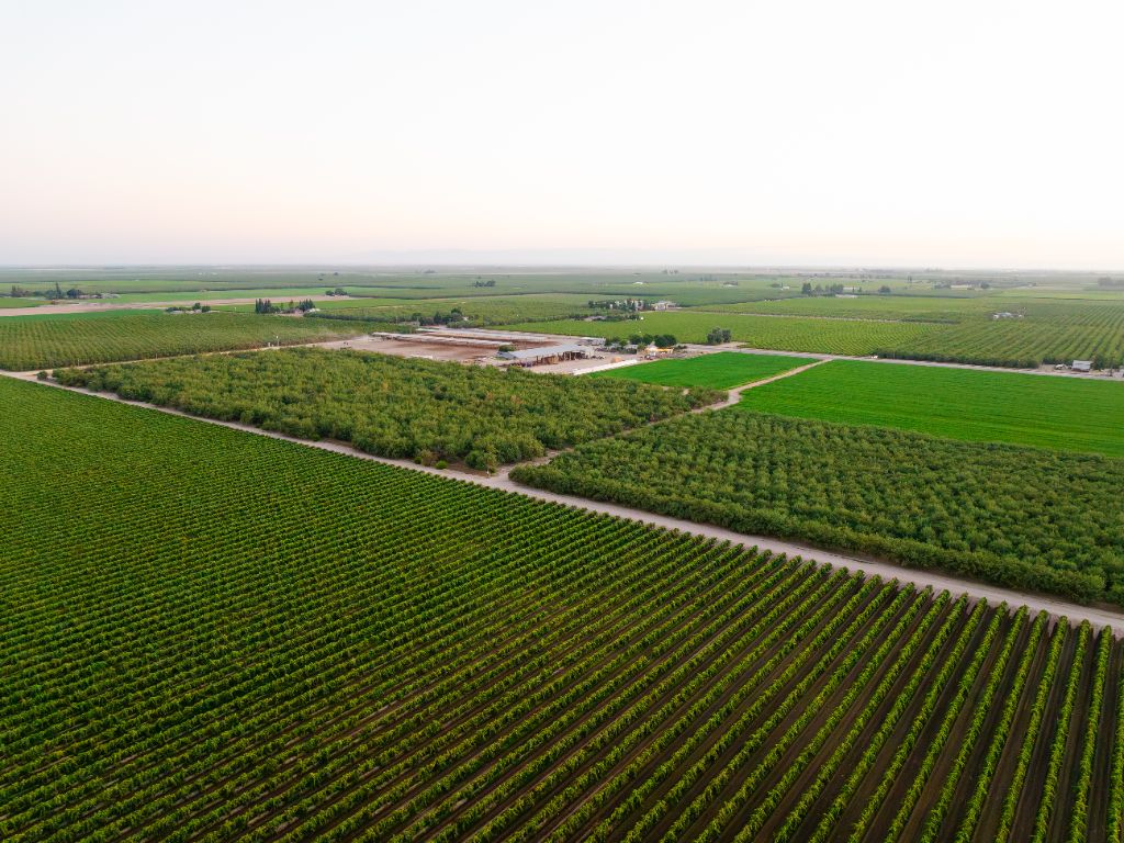 Aerial view of California Central Valley farmland